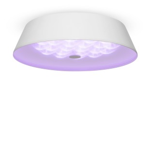 Светильник потолочный Freya LED FR10013CL-L24W