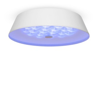 Светильник потолочный Freya LED FR10013CL-L24W