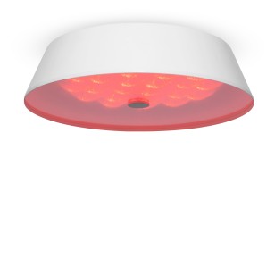 Светильник потолочный Freya LED FR10013CL-L24W