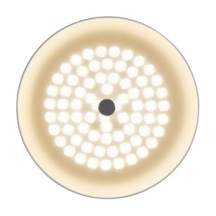 Светильник потолочный Freya LED FR10013CL-L24W