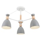 Светильник потолочный Freya Modern FR5033CL-03W