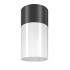 Светильник потолочный Outdoor Willis O418CL-01B