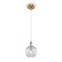 Светильник подвесной Maytoni Pendant P006PL-01BS