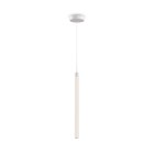 Светильник подвесной Technical Pendant P021PL-L10W