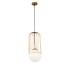 Светильник подвесной Maytoni Pendant P363PL-01G