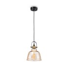 Светильник подвесной Maytoni Pendant T163-11-R