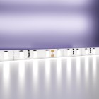 Светодиодная лента 12В LED Strip 20002