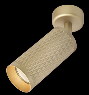 Светильник потолочный Technical Ceiling & Wall C034CL-01G