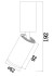 Светильник потолочный Technical Ceiling & Wall C051CL-01G