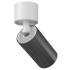 Светильник потолочный Technical Ceiling & Wall C050CL-1WGF