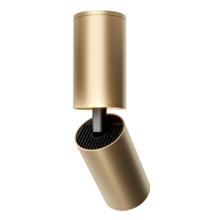 Светильник потолочный Technical Ceiling & Wall C051CL-01G