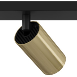 Светильник потолочный Technical Ceiling & Wall C051CL-02BG