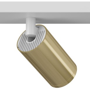 Светильник потолочный Technical Ceiling & Wall C051CL-2WG