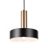 Светильник подвесной Freya Loft FR4008PL-01BBS