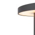 Светильник ландшафтный Outdoor Wald O420FL-L12GF