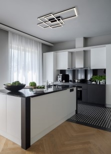 Светильник потолочный Maytoni Modern MOD015CL-L80B