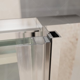 Душевая дверь RGW Passage 65x195 41081415-11