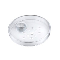 Мыльница Soap Dish прозрачный 12x12x3.3 Iddis 100TP02i53