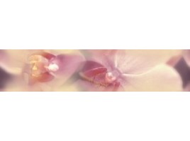 Дельта керамика Blossom