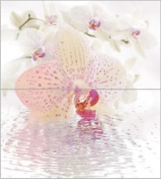 Панно Ceradim Orchid Panno 45x50