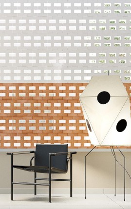 Brac (Mutina)