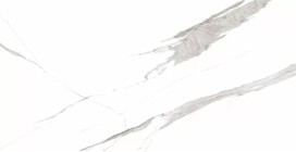 Керамогранит Dogma Project Antibacterial Calacatta Levigato Rettificato 60x120 NEO126001