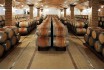 Керамогранит Exagres Proyect Rojo Base 24 Ref.721 24.5x24.5