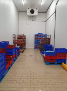 Керамогранит Exagres Proyect Rojo Base 24 Ref.721 24.5x24.5