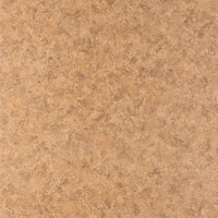 Линолеум Tarkett Европа Arabeski 1 1.5м