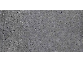 Fort Charcoal (Primavera)