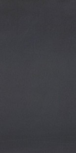 Керамогранит Casalgrande Padana R-Evolution Black 9mm 60x120 11720031