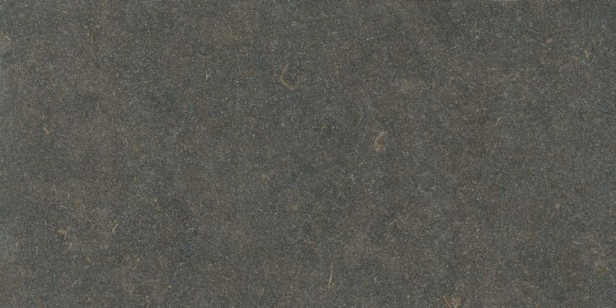 Керамогранит Living Ceramics Oda Classic Honed 59.8x119.8 LV12140