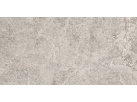 Tundra (Delacora)
