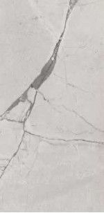TC Regal Silver Mat