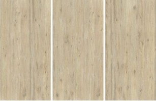 Керамогранит Tau Ceramica Woods Ascale By Tau Boreal Sand Matt Mix 160x320