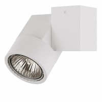 Светильник Lightstar Illumo X1 точечный накладной декоративный под заменяемые галогенные или LED лампы 051026