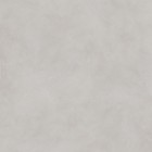 Кермогранит ABK Ceramiche Alter Ego Ash Nat 60x60 PF60016449