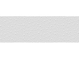 Globe (Venis)