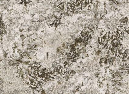 Керамогранит Moreroom Stone Frozen Fox Polished 120x260 MN627BP261206