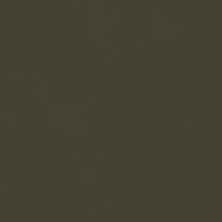 Керамогранит Living Ceramics Cava Green 60x60 LV11886