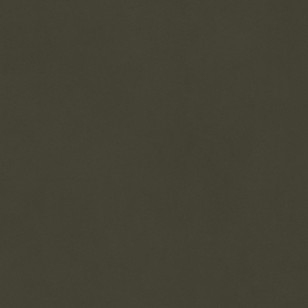 Керамогранит Living Ceramics Cava Green 60x60 LV11886