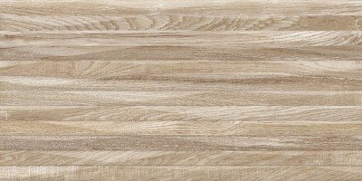 Плитка Alma Ceramica Euphoria рельефная 24.9x50 настенная TWU2550EPH44