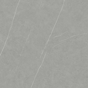 Керамогранит Living Ceramics Allure Grey Anti-Slip 120x120 LV11109