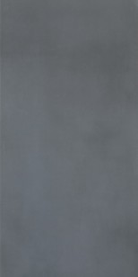 Керамогранит Casalgrande Padana R-Evolution Dark Grey 30x60 11790027