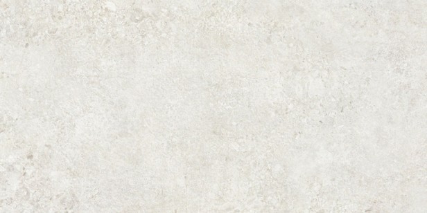 Керамогранит NT Ceramic Terrazzo 60x120 TZ612NTT9501L