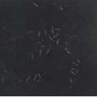 Керамогранит Mutina Chymia Impronta Black 30x30 GAC24