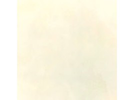 Kani (ITC)