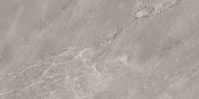 Керамогранит Neodom Stone Artistic Carving 80x160 N20645