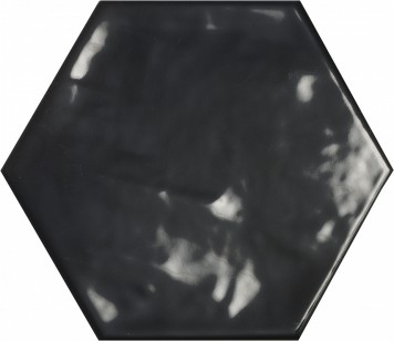 Керамогранит Ecoceramic Chiara Negro Hex 20x24