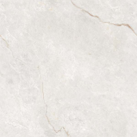 Керамогранит Ocean Ceramic Infinity Venetian Blanco 60x60 OC0000223 Керамогранит Ocean Ceramic Infinity Venetian Blanco 60x60 OC0000223